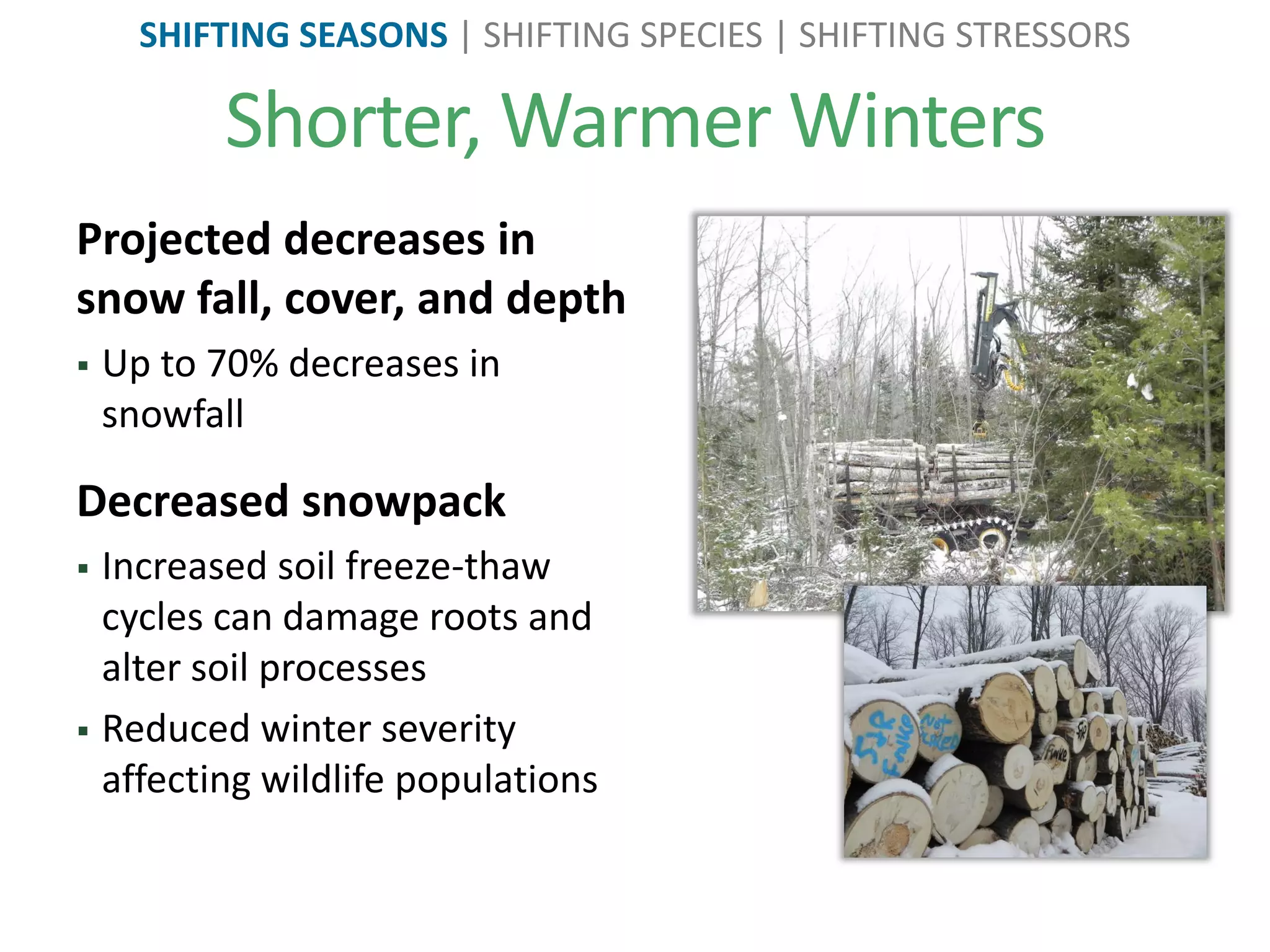 Shorter, Warmer Winters
Projected decreases in
snow fall, cover, and depth
 Up to 70% decreases in
snowfall
Decreased snowpack
 Increased soil freeze-thaw
cycles can damage roots and
alter soil processes
 Reduced winter severity
affecting wildlife populations
SHIFTING SEASONS | SHIFTING SPECIES | SHIFTING STRESSORS
 