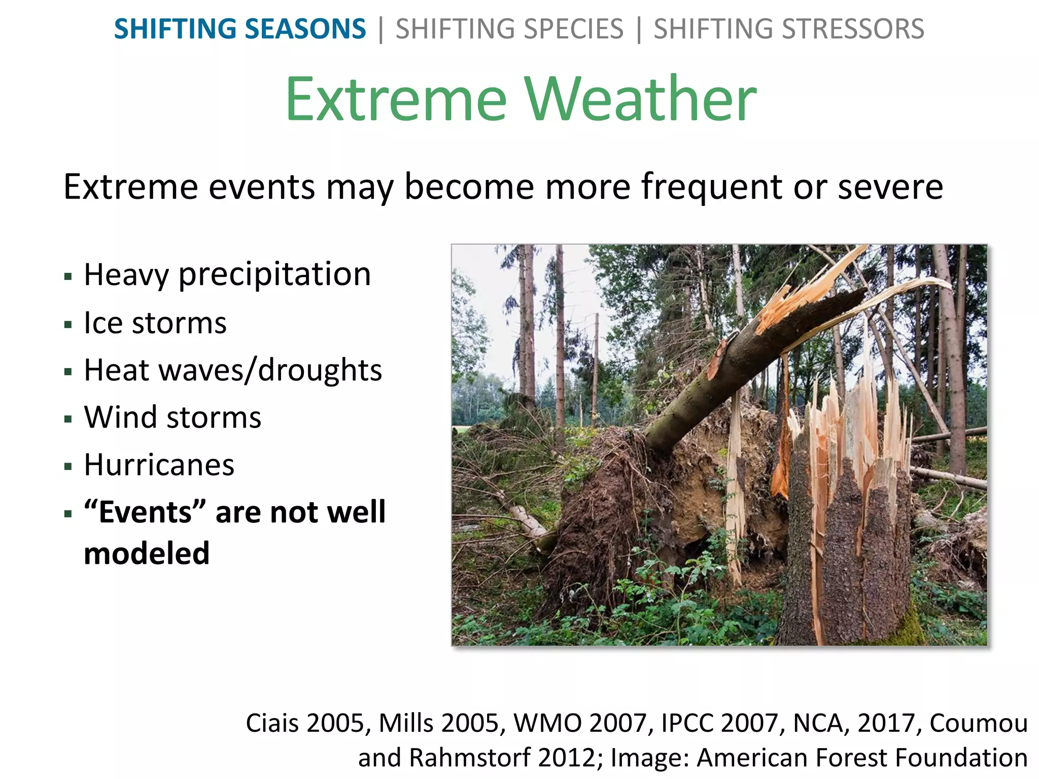 Extreme Weather
SHIFTING SEASONS | SHIFTING SPECIES | SHIFTING STRESSORS
Extreme events may become more frequent or severe
 Heavy precipitation
 Ice storms
 Heat waves/droughts
 Wind storms
 Hurricanes
 “Events” are not well
modeled
Ciais 2005, Mills 2005, WMO 2007, IPCC 2007, NCA, 2017, Coumou
and Rahmstorf 2012; Image: American Forest Foundation
 