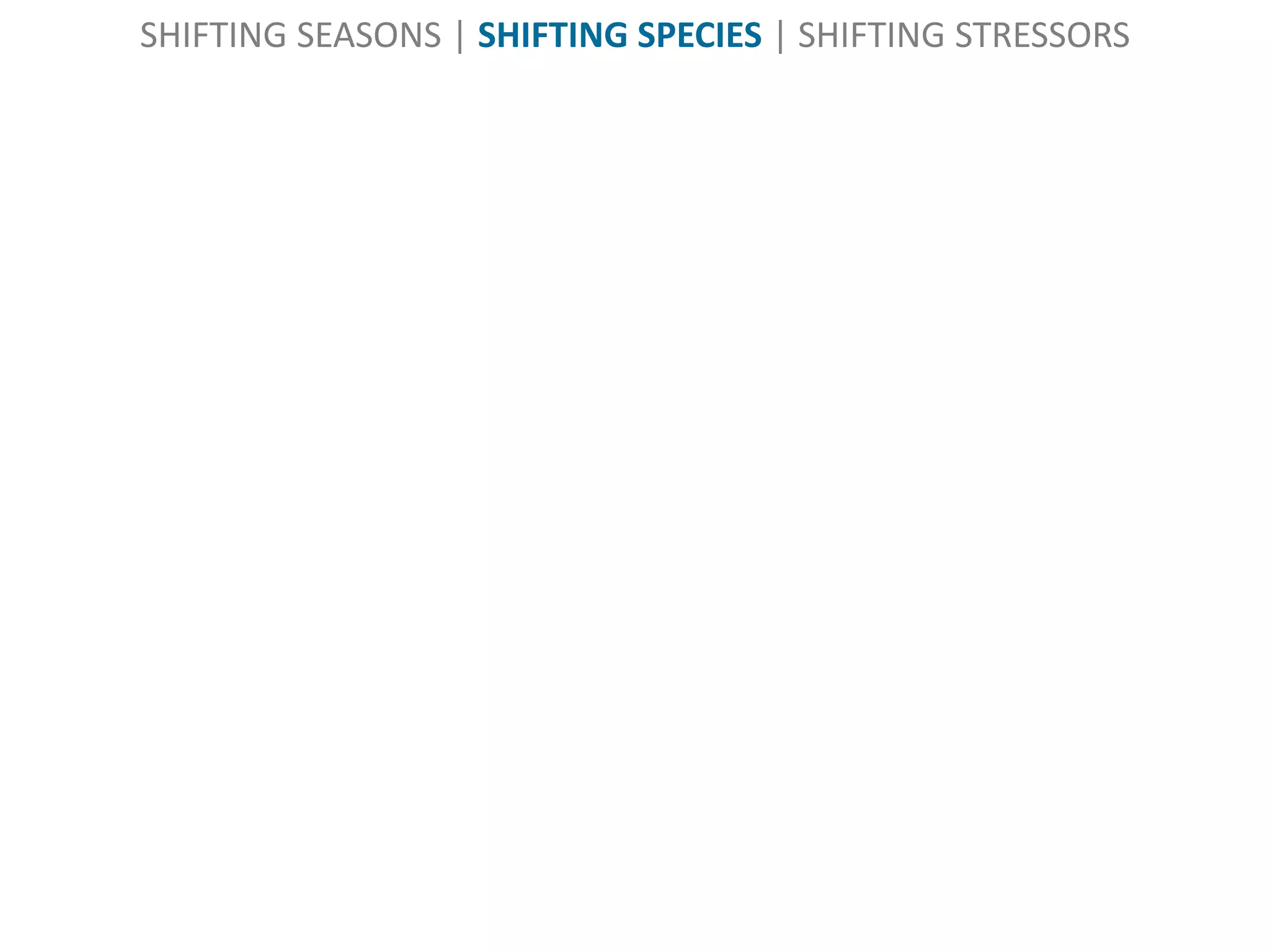 SHIFTING SEASONS | SHIFTING SPECIES | SHIFTING STRESSORS
 