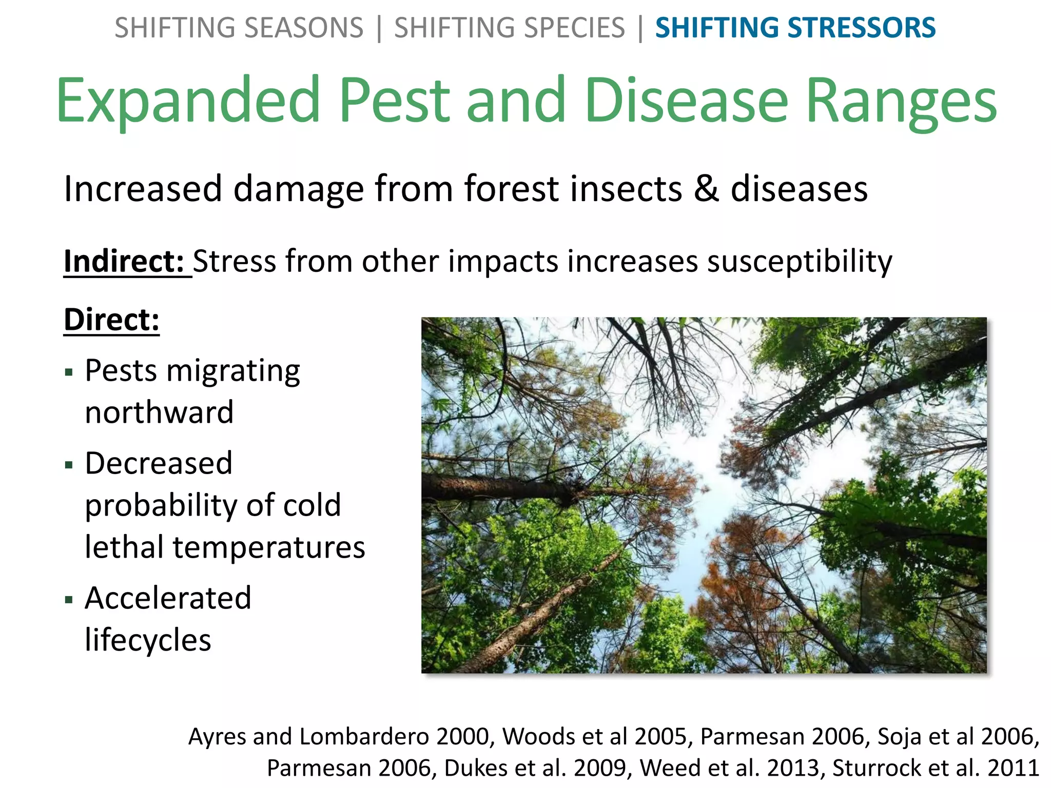 Expanded Pest and Disease Ranges
Ayres and Lombardero 2000, Woods et al 2005, Parmesan 2006, Soja et al 2006,
Parmesan 2006, Dukes et al. 2009, Weed et al. 2013, Sturrock et al. 2011
SHIFTING SEASONS | SHIFTING SPECIES | SHIFTING STRESSORS
Indirect: Stress from other impacts increases susceptibility
Increased damage from forest insects & diseases
Direct:
 Pests migrating
northward
 Decreased
probability of cold
lethal temperatures
 Accelerated
lifecycles
 