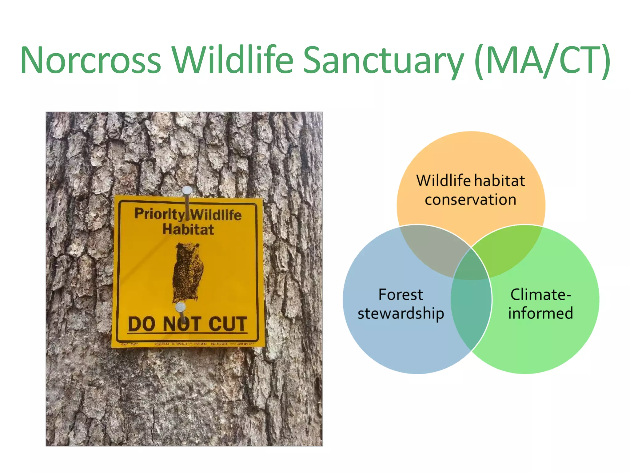 Norcross Wildlife Sanctuary (MA/CT)
 