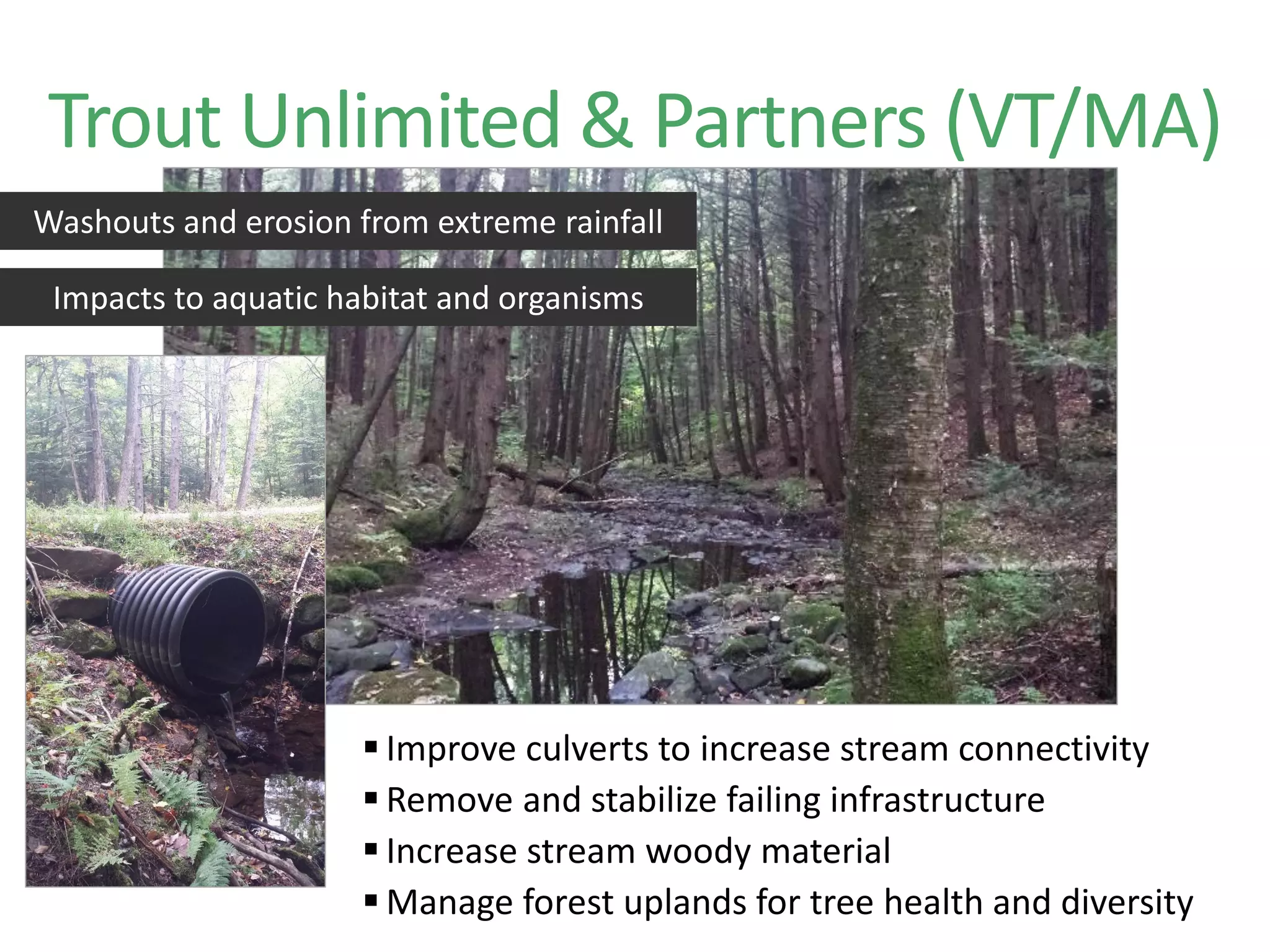  Improve culverts to increase stream connectivity
 Remove and stabilize failing infrastructure
 Increase stream woody material
 Manage forest uplands for tree health and diversity
Trout Unlimited & Partners (VT/MA)
Washouts and erosion from extreme rainfall
Impacts to aquatic habitat and organisms
 