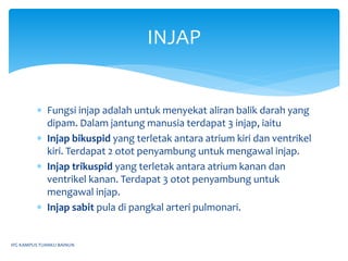 Injap PJM3106 : ANATOMI DAN PENGURUSAN JANTUNG | PPTX