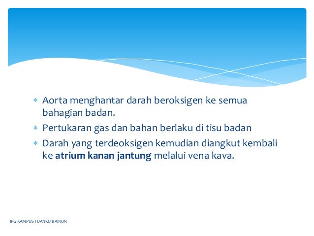 PJM3106 : ANATOMI DAN PENGURUSAN JANTUNG