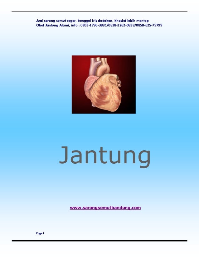 Jantung