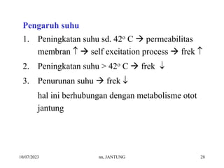 10/07/2023 nn, JANTUNG 28
Pengaruh suhu
1. Peningkatan suhu sd. 42o C  permeabilitas
membran   self excitation process  frek 
2. Peningkatan suhu > 42o C  frek 
3. Penurunan suhu  frek 
hal ini berhubungan dengan metabolisme otot
jantung
 