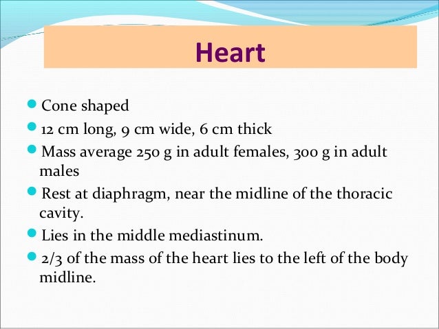 Why is the heart anchored to the diaphragm?