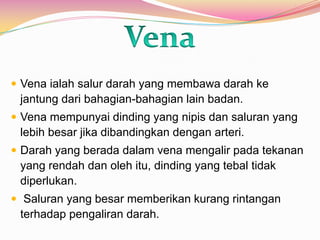  Vena ialah salur darah yang membawa darah ke
jantung dari bahagian-bahagian lain badan.
 Vena mempunyai dinding yang nipis dan saluran yang
lebih besar jika dibandingkan dengan arteri.
 Darah yang berada dalam vena mengalir pada tekanan
yang rendah dan oleh itu, dinding yang tebal tidak
diperlukan.
 Saluran yang besar memberikan kurang rintangan
terhadap pengaliran darah.
 