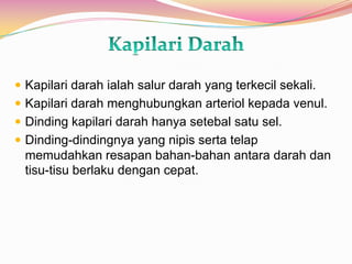  Kapilari darah ialah salur darah yang terkecil sekali.
 Kapilari darah menghubungkan arteriol kepada venul.
 Dinding kapilari darah hanya setebal satu sel.
 Dinding-dindingnya yang nipis serta telap
memudahkan resapan bahan-bahan antara darah dan
tisu-tisu berlaku dengan cepat.
 