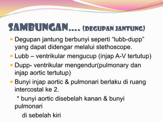 Sambungan…. (degupan jantung)
 Degupan jantung berbunyi seperti “lubb-dupp”
yang dapat didengar melalui stethoscope.
 Lubb – ventrikular mengucup (injap A-V tertutup)
 Dupp- ventrikular mengendur(pulmonary dan
injap aortic tertutup)
 Bunyi injap aortic & pulmonari berlaku di ruang
intercostal ke 2.
* bunyi aortic disebelah kanan & bunyi
pulmonari
di sebelah kiri
 