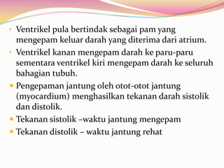 • Ventrikel pula bertindak sebagai pam yang
mengepam keluar darah yang diterima dari atrium.
• Ventrikel kanan mengepam darah ke paru-paru
sementara ventrikel kiri mengepam darah ke seluruh
bahagian tubuh.
 Pengepaman jantung oleh otot-otot jantung
(myocardium) menghasilkan tekanan darah sistolik
dan distolik.
 Tekanan sistolik –waktu jantung mengepam
 Tekanan distolik – waktu jantung rehat
 