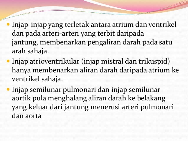 Sistem Jantung (PJM3106)