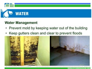 Water Management
• Prevent mold by keeping water out of the building
• Keep gutters clean and clear to prevent floods




http://hoythomeinspection.com/images/stories/mold1.jpg   http://www.safemoldsolutions.com/So%20Youve%20got%20basement%20mold%20now%20what_html_36064de1.jpg
                                                                                                                  WWW.NYCGREENHOUSE.ORG
 