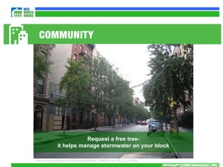 Request a free tree-
                  it helps manage stormwater on your block

http://daviding.com/blog/wp-content/uploads/2009/05/di_20080813_nyc_46th_e_of_10th.jpg

                                                                                         WWW.NYCGREENHOUSE.ORG
                                                                                          WWW.NYCGREENHOUSE.ORG
 