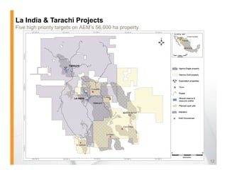La India & Tarachi Projects
Five high priority targets on AEM’s 56,000 ha property




                                                         12
 