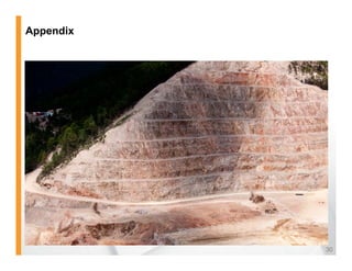 Appendix




           30
 