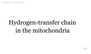 Hydrogen-transfer chain
in the mitochondria
63b
BADRAWY notes MRCP
 