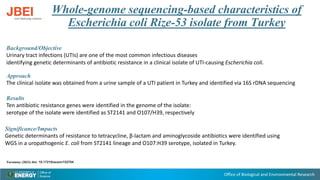 Office of Biological and Environmental Research
Whole-genome sequencing-based characteristics of
Escherichia coli Rize-53 isolate from Turkey
Background/Objective
Urinary tract infections (UTIs) are one of the most common infectious diseases
identifying genetic determinants of antibiotic resistance in a clinical isolate of UTI-causing Escherichia coli.
Approach
The clinical isolate was obtained from a urine sample of a UTI patient in Turkey and identified via 16S rDNA sequencing
Results
Ten antibiotic resistance genes were identified in the genome of the isolate:
serotype of the isolate were identified as ST2141 and O107/H39, respectively
Significance/Impacts
Genetic determinants of resistance to tetracycline, β-lactam and aminoglycoside antibiotics were identified using
WGS in a uropathogenic E. coli from ST2141 lineage and O107:H39 serotype, isolated in Turkey.
Turumtay (2023) doi: 10.17219/acem/152704
 