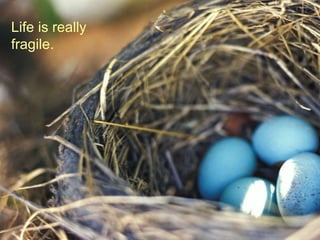 Life is really fragile. 