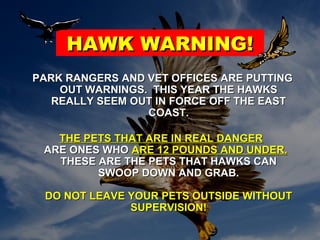 HAWK WARNING!HAWK WARNING!
PARK RANGERS AND VET OFFICES ARE PUTTINGPARK RANGERS AND VET OFFICES ARE PUTTING
OUT WARNINGS. THIS YEAR THE HAWKSOUT WARNINGS. THIS YEAR THE HAWKS
REALLY SEEM OUT IN FORCE OFF THE EASTREALLY SEEM OUT IN FORCE OFF THE EAST
COAST.COAST.
THE PETS THAT ARE IN REAL DANGERTHE PETS THAT ARE IN REAL DANGER
ARE ONES WHOARE ONES WHO ARE 12 POUNDS AND UNDER.ARE 12 POUNDS AND UNDER.
THESE ARE THE PETS THAT HAWKS CANTHESE ARE THE PETS THAT HAWKS CAN
SWOOP DOWN AND GRAB.SWOOP DOWN AND GRAB.
DO NOT LEAVE YOUR PETS OUTSIDE WITHOUTDO NOT LEAVE YOUR PETS OUTSIDE WITHOUT
SUPERVISION!SUPERVISION!
 