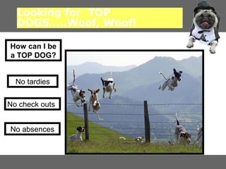 Looking for TOP
DOGS..Woof, Woof!
How can I be
a TOP DOG?
No tardies
No check outs
No absences

 