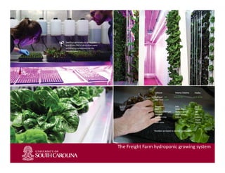 Slide 1
The Freight Farm hydroponic growing system
 