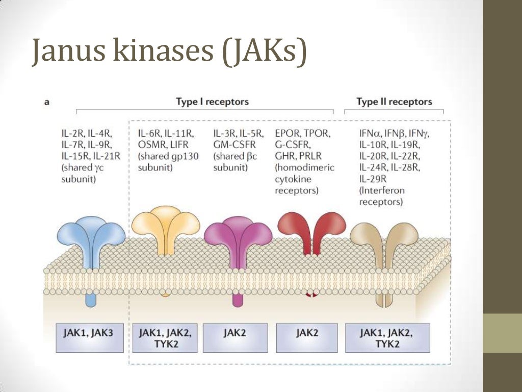 Janus kinase inhibitors