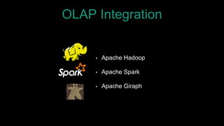 OLAP Integration
• Apache Hadoop
• Apache Spark
• Apache Giraph
 