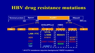viral markers in diagnosis monitoring and treatment of hepatitis b and ...