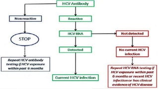 viral markers in diagnosis monitoring and treatment of hepatitis b and ...