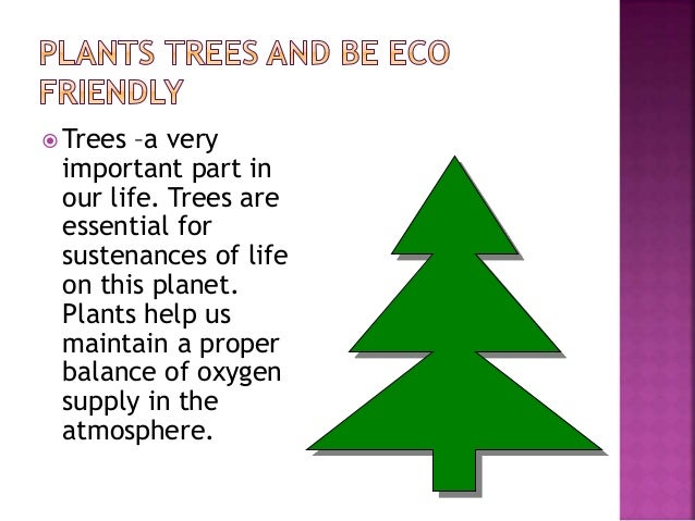 importance of trees in our life beatiful tree importance of trees in our life beatiful tree