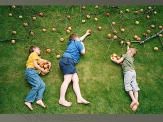 Jan von holloben perspective