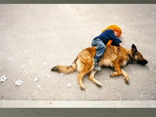 Jan von holloben perspective