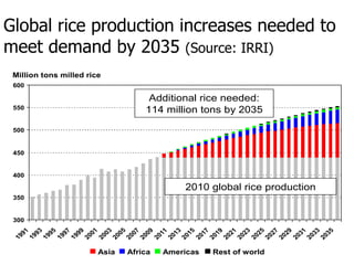 FAO’s Regional Rice Initiative: Landscape Management for Sustainable ...