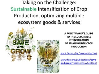 FAO’s Regional Rice Initiative: Landscape Management for Sustainable ...