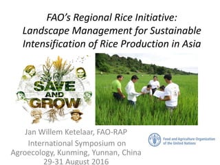 FAO’s Regional Rice Initiative:
Landscape Management for Sustainable
Intensification of Rice Production in Asia
Jan Willem Ketelaar, FAO-RAP
International Symposium on
Agroecology, Kunming, Yunnan, China
29-31 August 2016
 