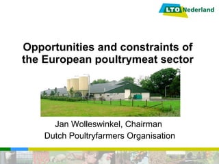 Opportunities and constraints of the European poultrymeat sector Jan Wolleswinkel, Chairman Dutch Poultryfarmers Organisation 