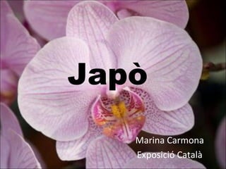 Japò
Marina Carmona
Exposició Català
 