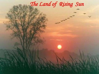The Land of  Rising  Sun