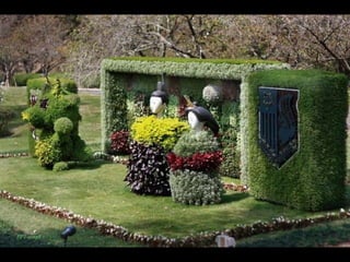 Alegria Verdejante em Hamamatsu  