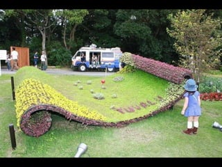 Alegria Verdejante em Hamamatsu  