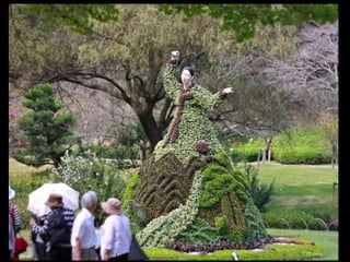 Alegria Verdejante em Hamamatsu  