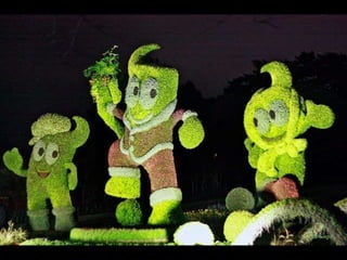 Alegria Verdejante em Hamamatsu  