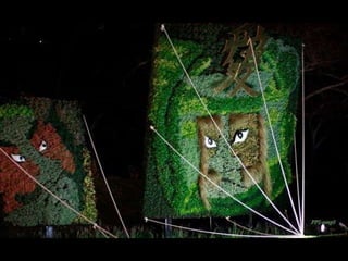 Alegria Verdejante em Hamamatsu  