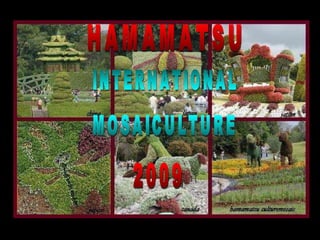 Alegria Verdejante em Hamamatsu  