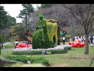 Alegria Verdejante em Hamamatsu  