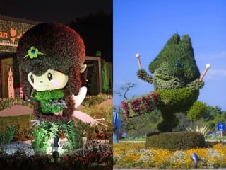 Alegria Verdejante em Hamamatsu  