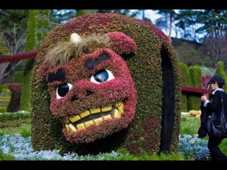 Alegria Verdejante em Hamamatsu  