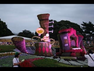 Alegria Verdejante em Hamamatsu  