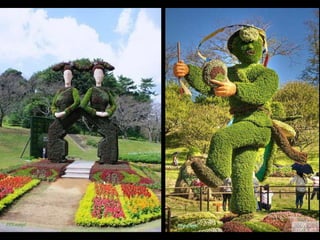 Alegria Verdejante em Hamamatsu  